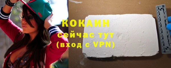 твердый Алексин