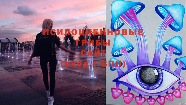 тгк Пролетарск