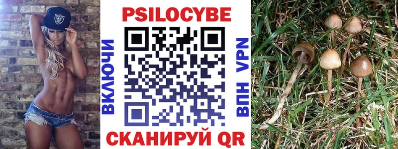 Галлюциногенные грибы мухоморы  цена наркотик  Светлоград 