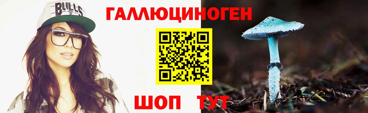 Галлюциногенные грибы Psilocybe Светлоград