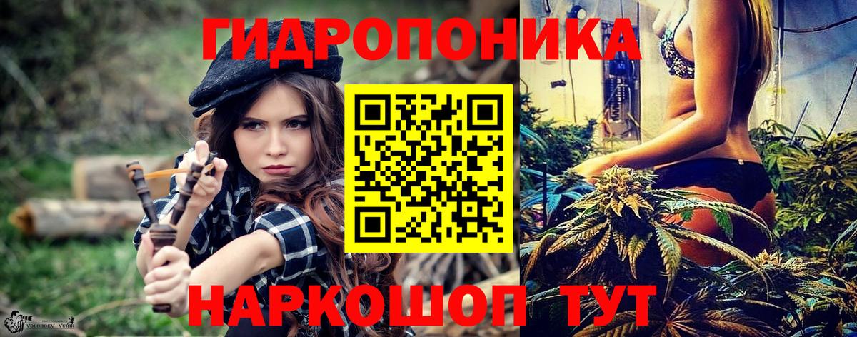 Канабис семена  Каннабис VHQ  Светлоград  Вход с VPN 